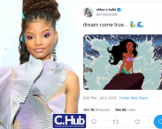 Why The Fuss About Halle Bailey Being Cast as Ariel The Little Mermaid?
