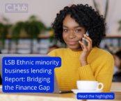 LSB Ethnic Minority business funding report